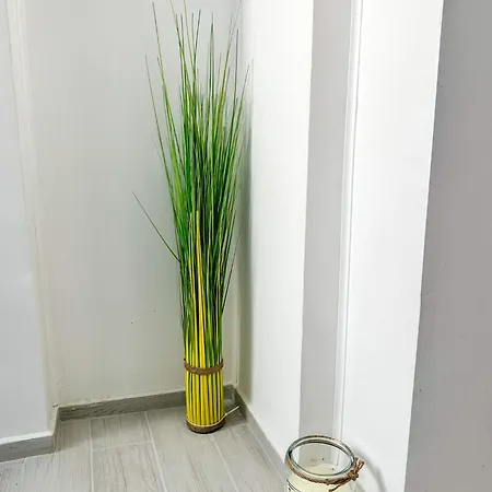 Flamingo Center Apartment