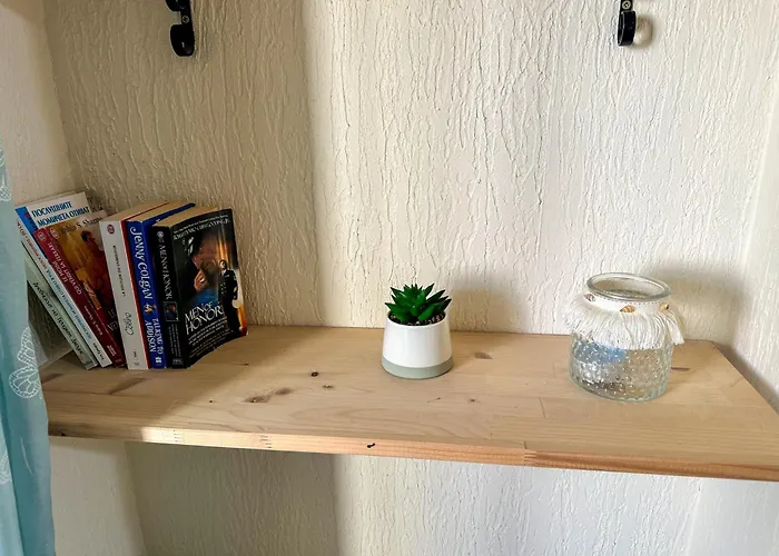 Flamingo Center Warna